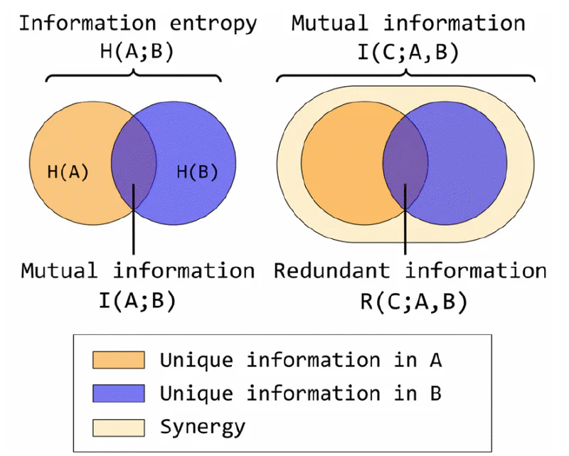 Interpretable xgboost based classification of 12-lead ecgs applying information theory measures from neuroscience