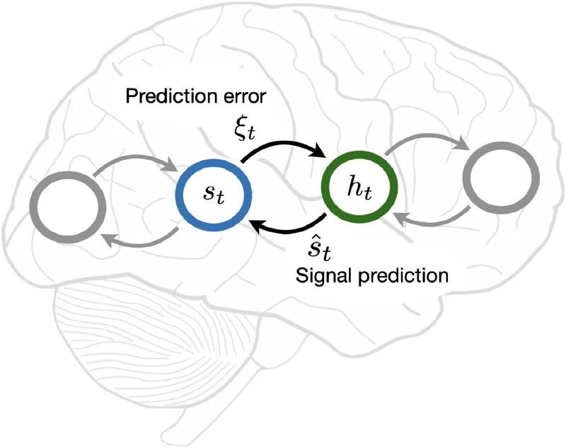 Computational Neuroscience