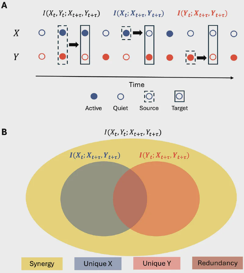 Synergy mediates Long-Range Correlations in the Visual Cortex Near Criticality