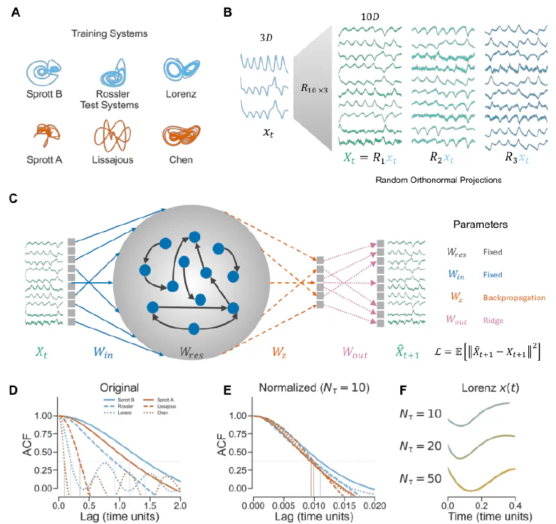 Emergent Generalization by Representation Learning in Artificial Neural Networks